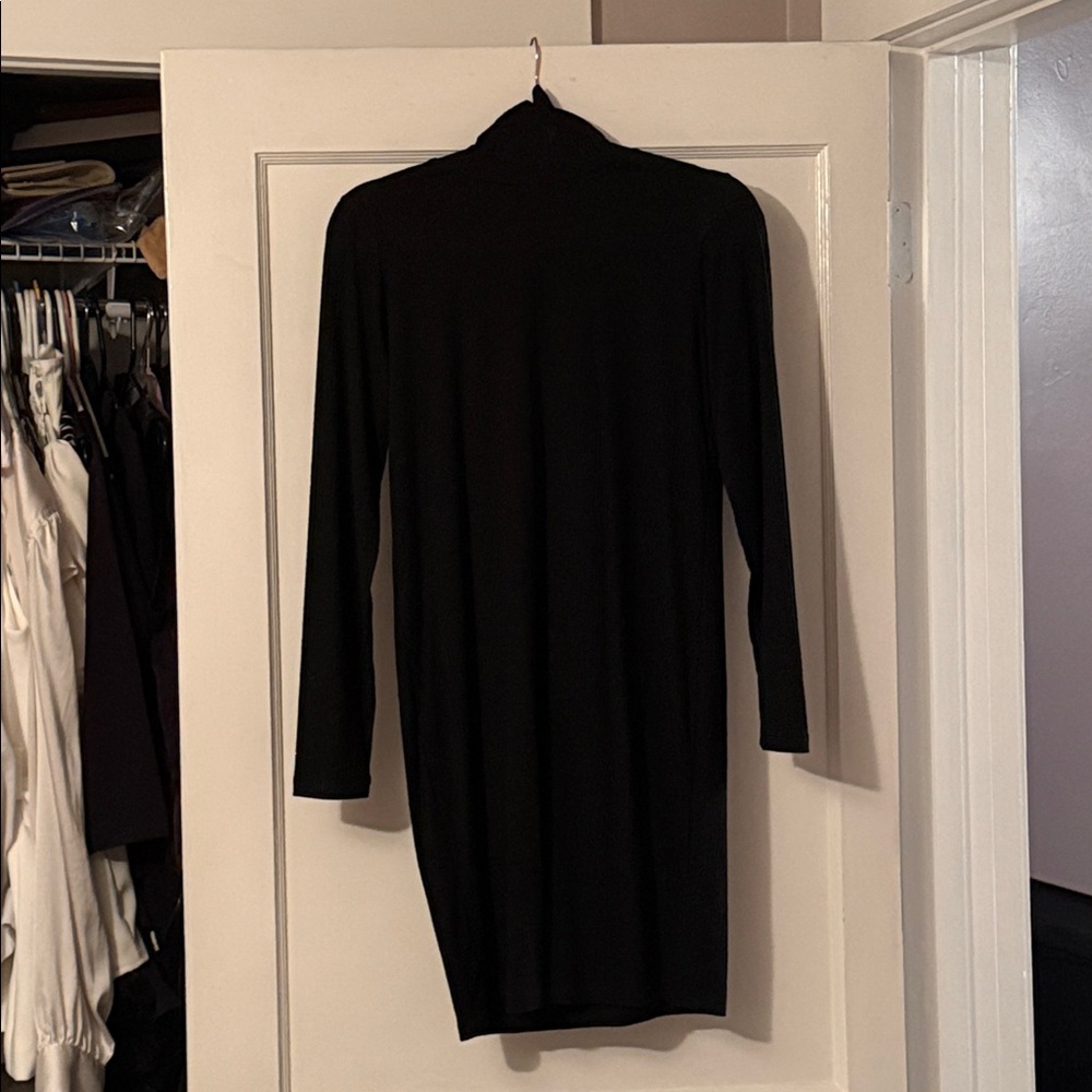 Black Long Sleeve Turtleneck Dress